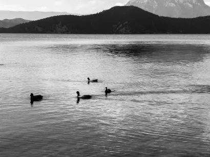 SlotoCash Casino Mobiele App